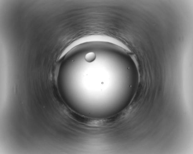 X0000086920084200704301105