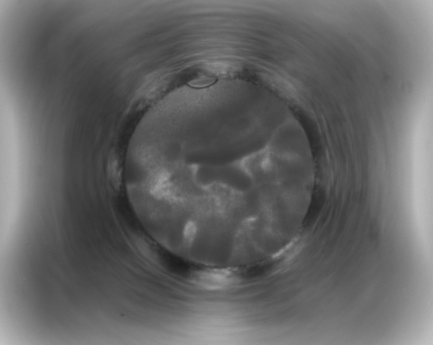 X0000086920086200704301105