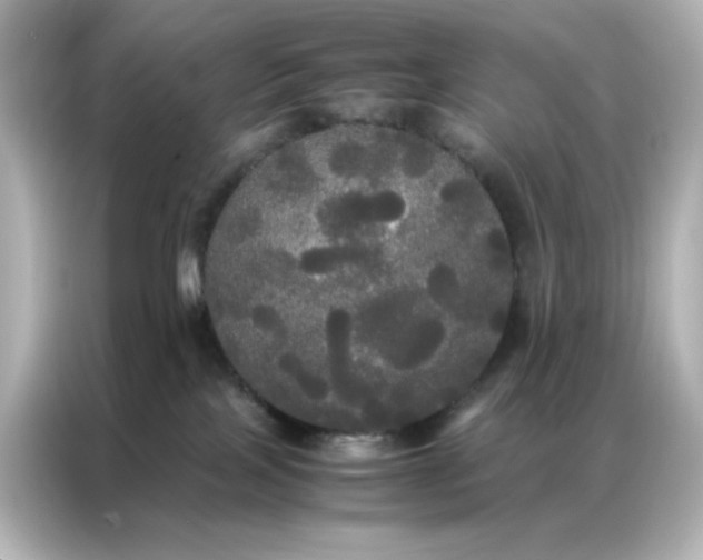X0000086920089200704301106
