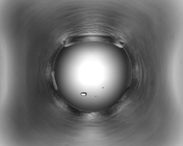X0000086920092200704301106
