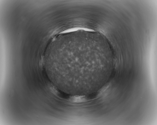 X0000086920093200704301106