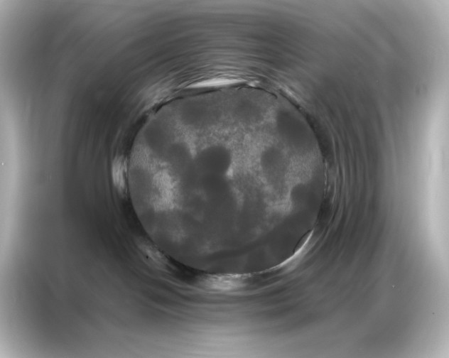 X0000086920094200704301106