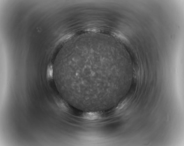 X0000086920095200704301106