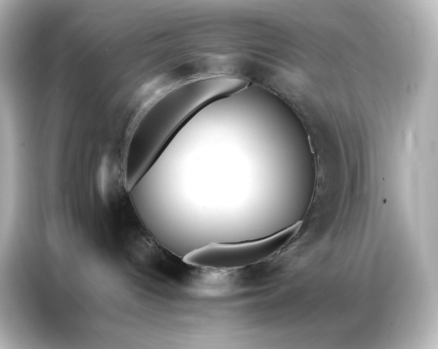 X0000086920096200704301106