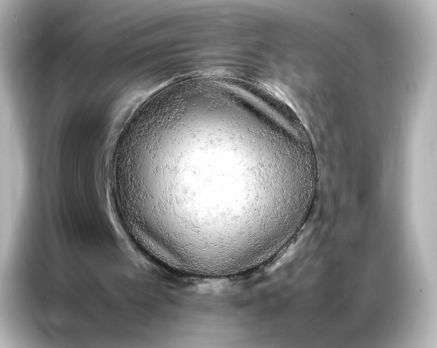 X0000086920097200704301105