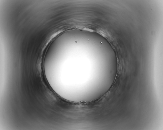 X0000086920098200704301105