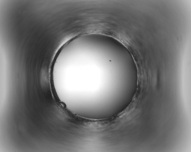 X0000086920100200704301105