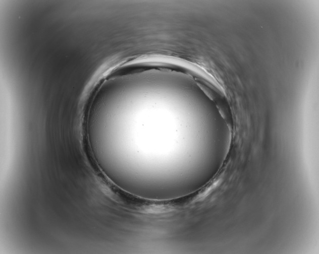 X0000086920101200704301105