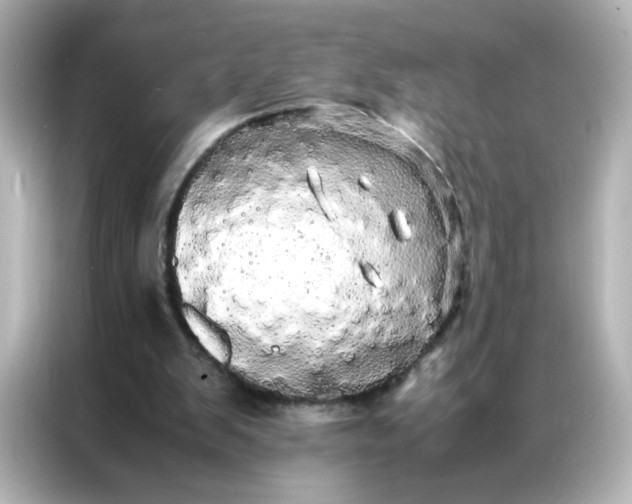 X0000086920103200704301105