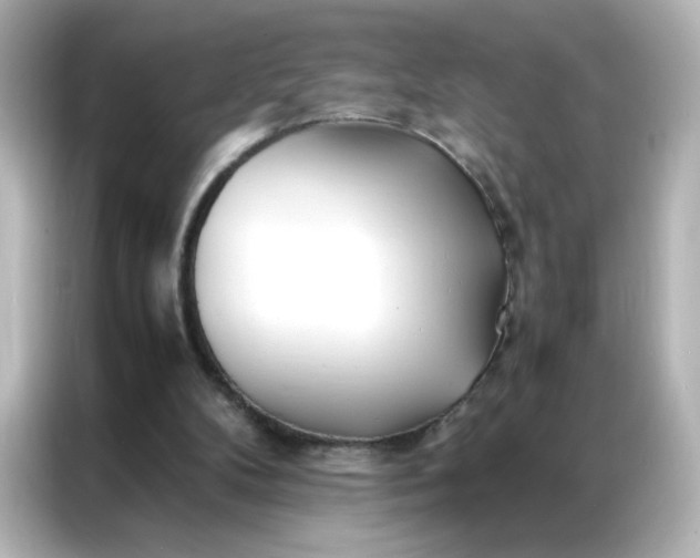 X0000086920104200704301105