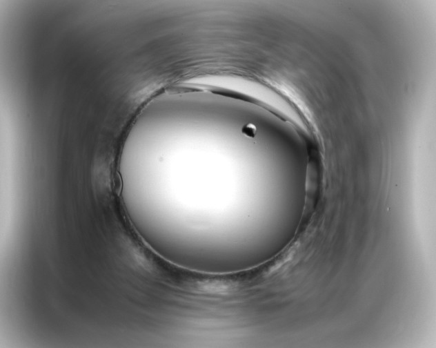 X0000086920105200704301105