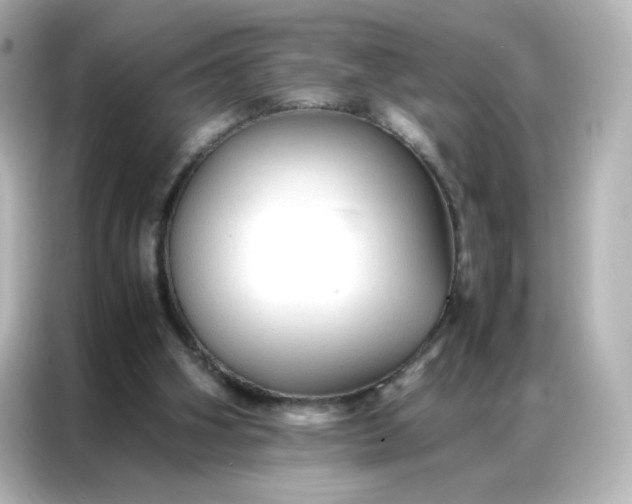 X0000086920106200704301105