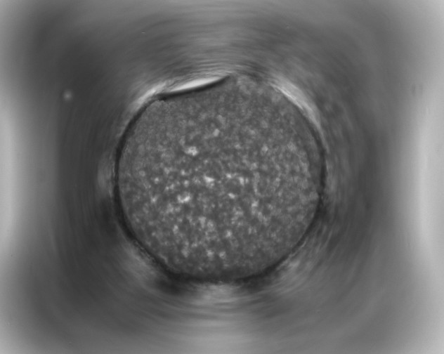 X0000086920107200704301105