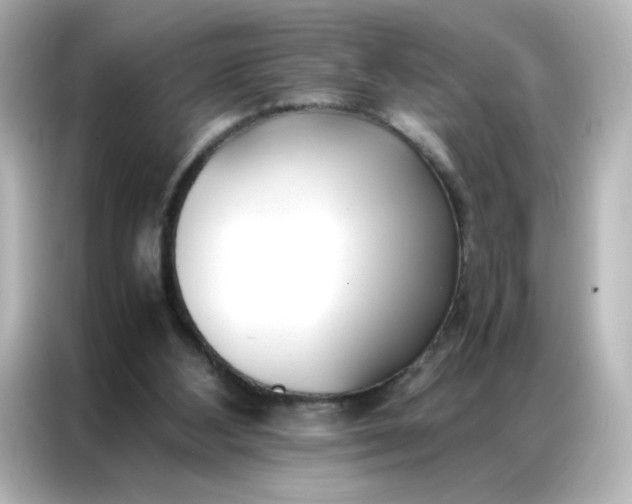 X0000086920108200704301105