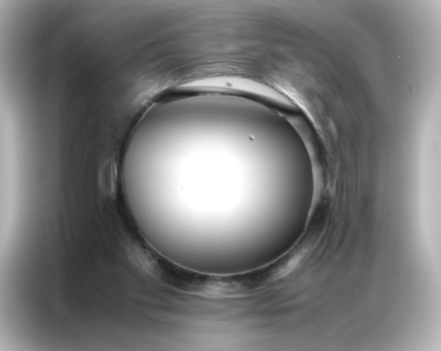 X0000086920109200704301105