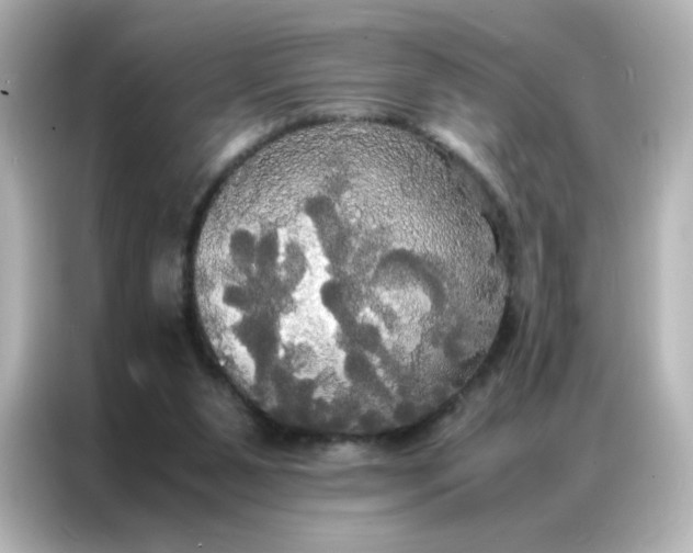 X0000086920111200704301105