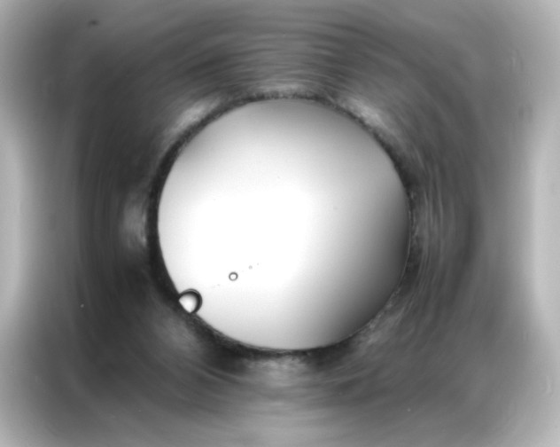 X0000086920112200704301105