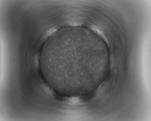 X0000086920114200704301105