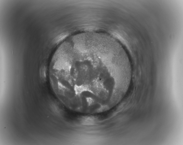 X0000086920115200704301105