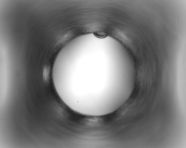X0000086920118200704301105