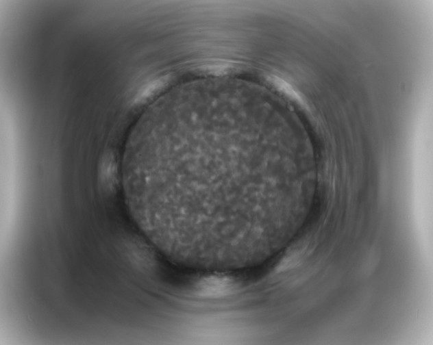 X0000086920119200704301105