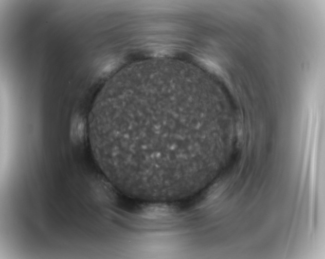 X0000086920123200704301105