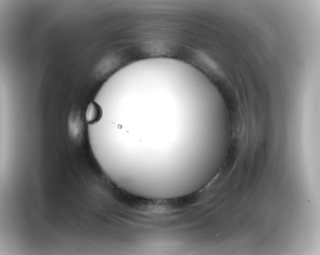X0000086920124200704301105