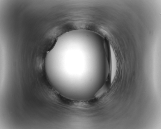 X0000086920125200704301105