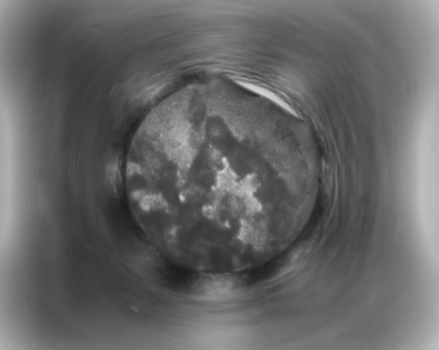 X0000086920127200704301105