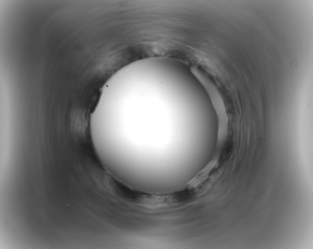 X0000086920129200704301105