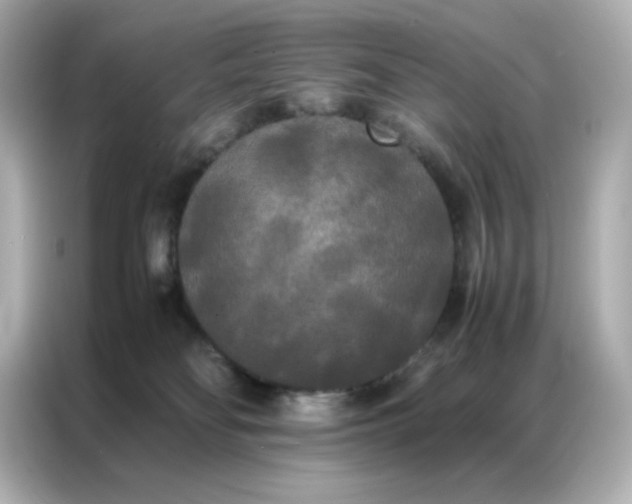X0000086920134200704301105