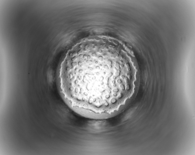 X0000086920135200704301105