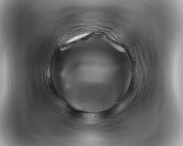 X0000086920139200704301104