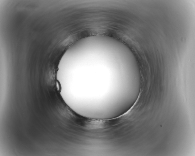 X0000086920144200704301104
