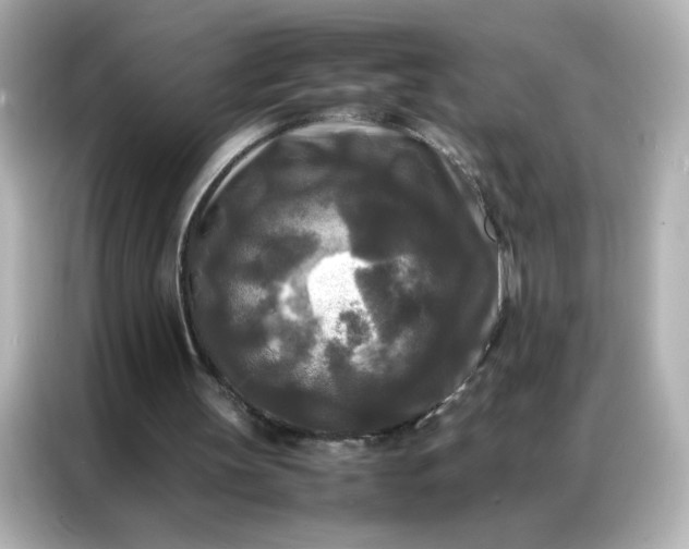 X0000086920147200704301104