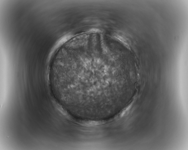 X0000086920149200704301104