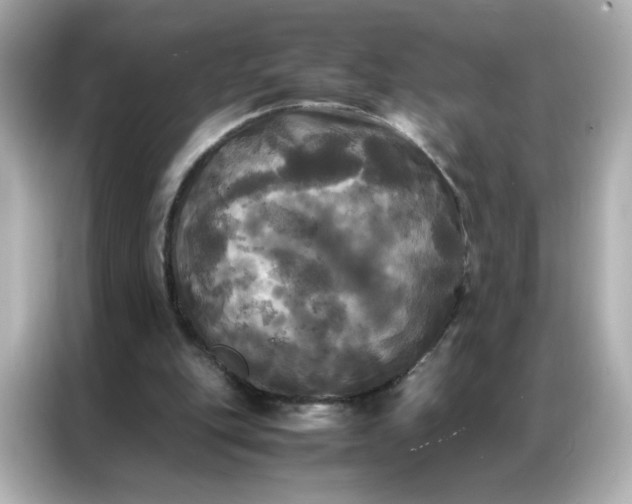 X0000086920151200704301104