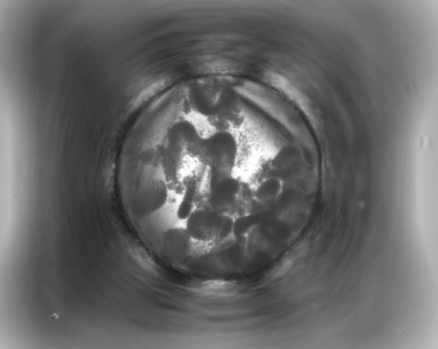 X0000086920153200704301104