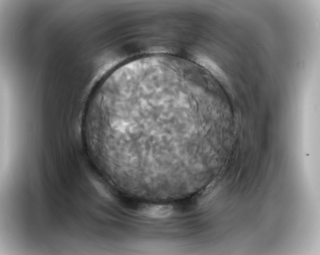 X0000086920155200704301104
