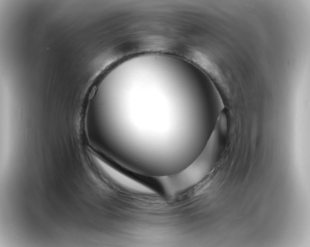 X0000086920156200704301104