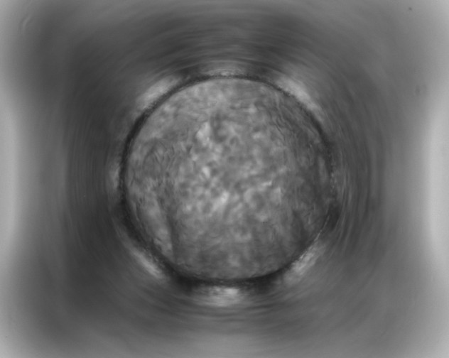 X0000086920159200704301104