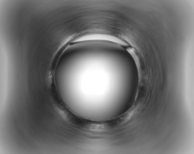 X0000086920160200704301104