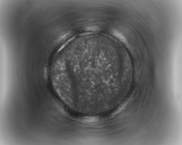 X0000086920161200704301104