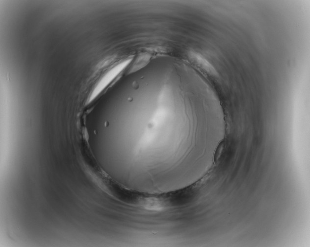 X0000086920163200704301104
