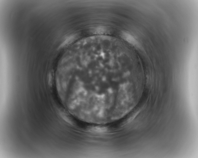 X0000086920165200704301104