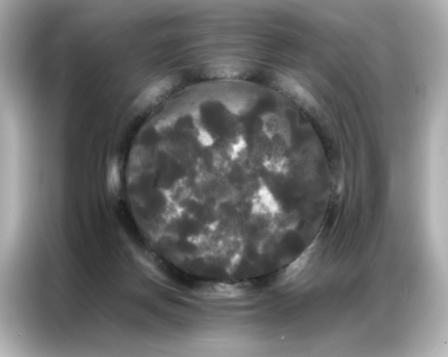 X0000086920166200704301104