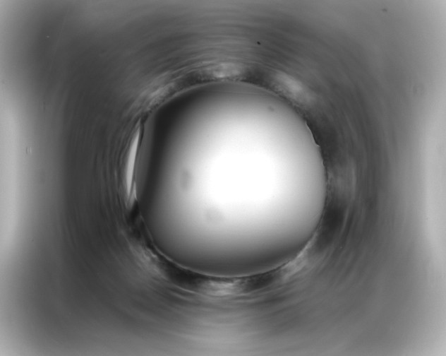 X0000086920170200704301104