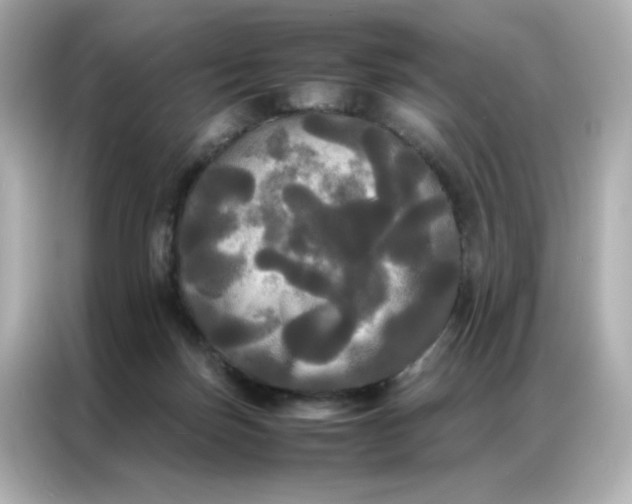 X0000086920171200704301104