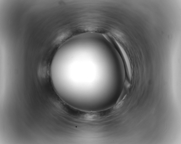 X0000086920172200704301104