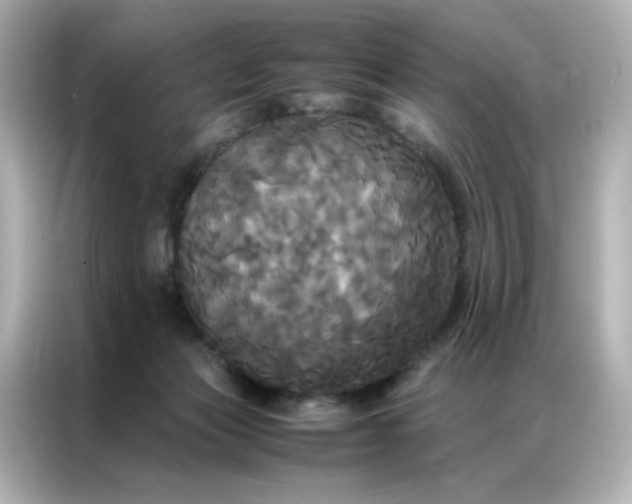 X0000086920173200704301104